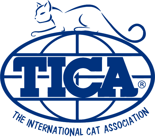 tica logo